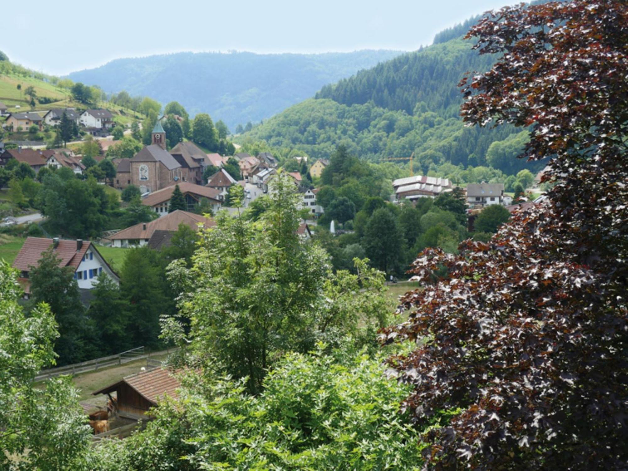 Schnurrenhof Appartement Seebach Buitenkant foto