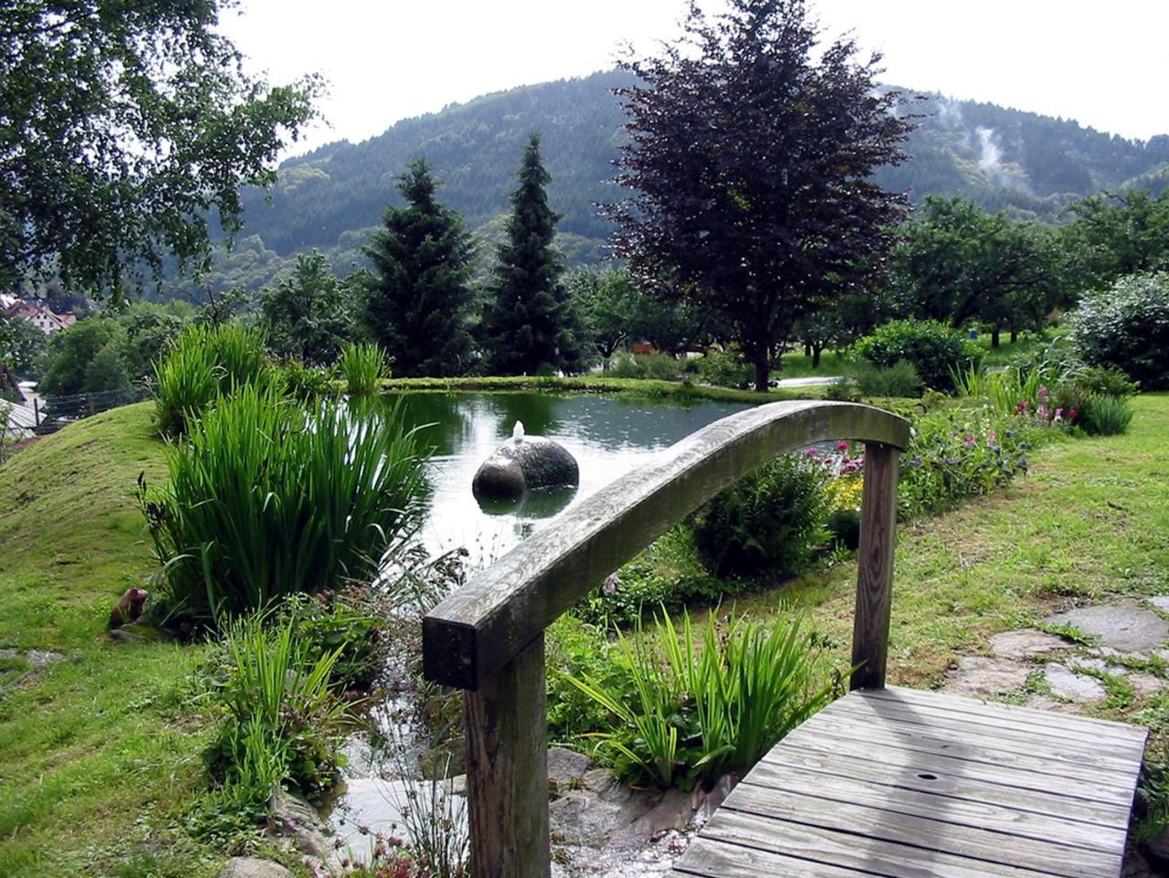 Schnurrenhof Appartement Seebach Buitenkant foto