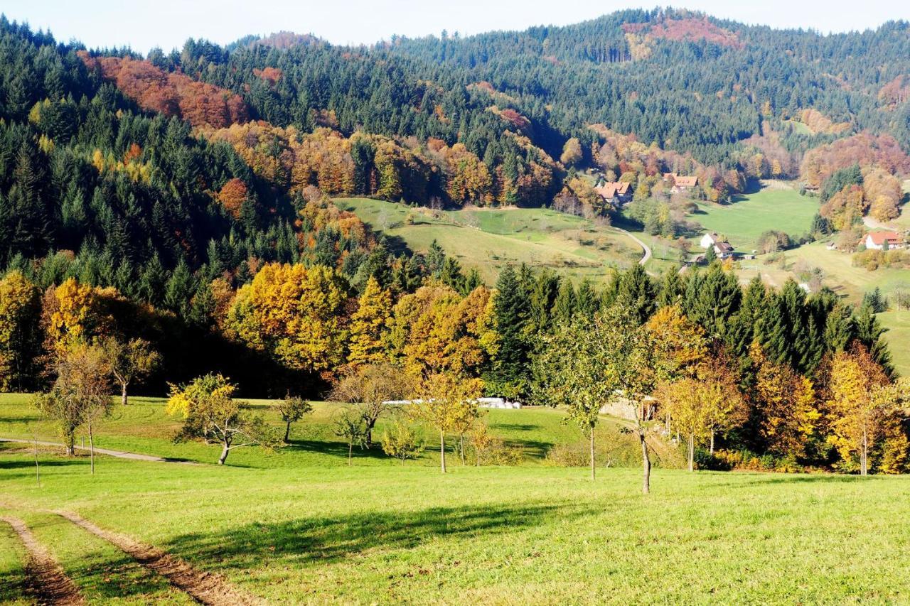 Schnurrenhof Appartement Seebach Buitenkant foto