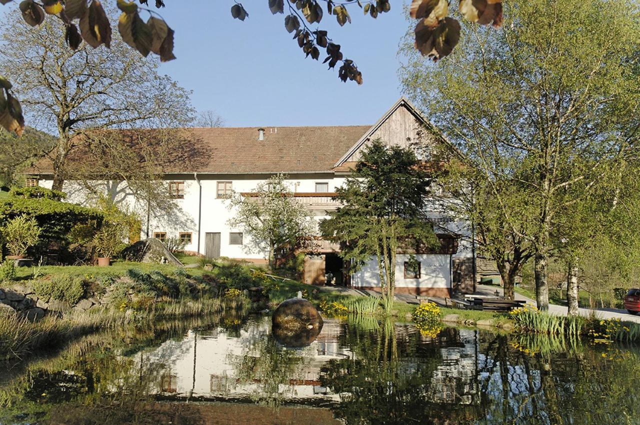 Schnurrenhof Appartement Seebach Buitenkant foto