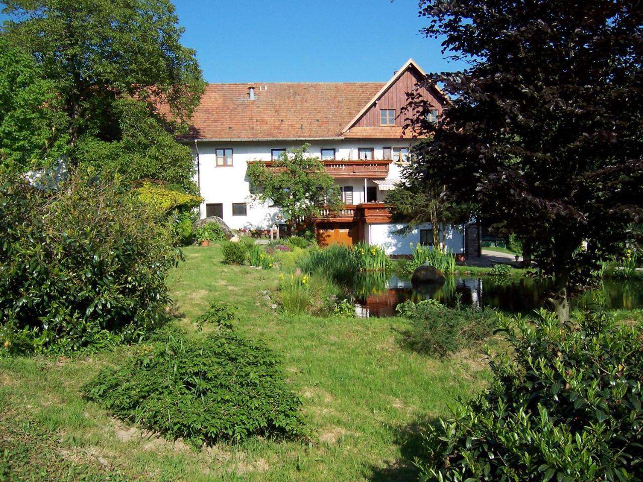 Schnurrenhof Appartement Seebach Buitenkant foto