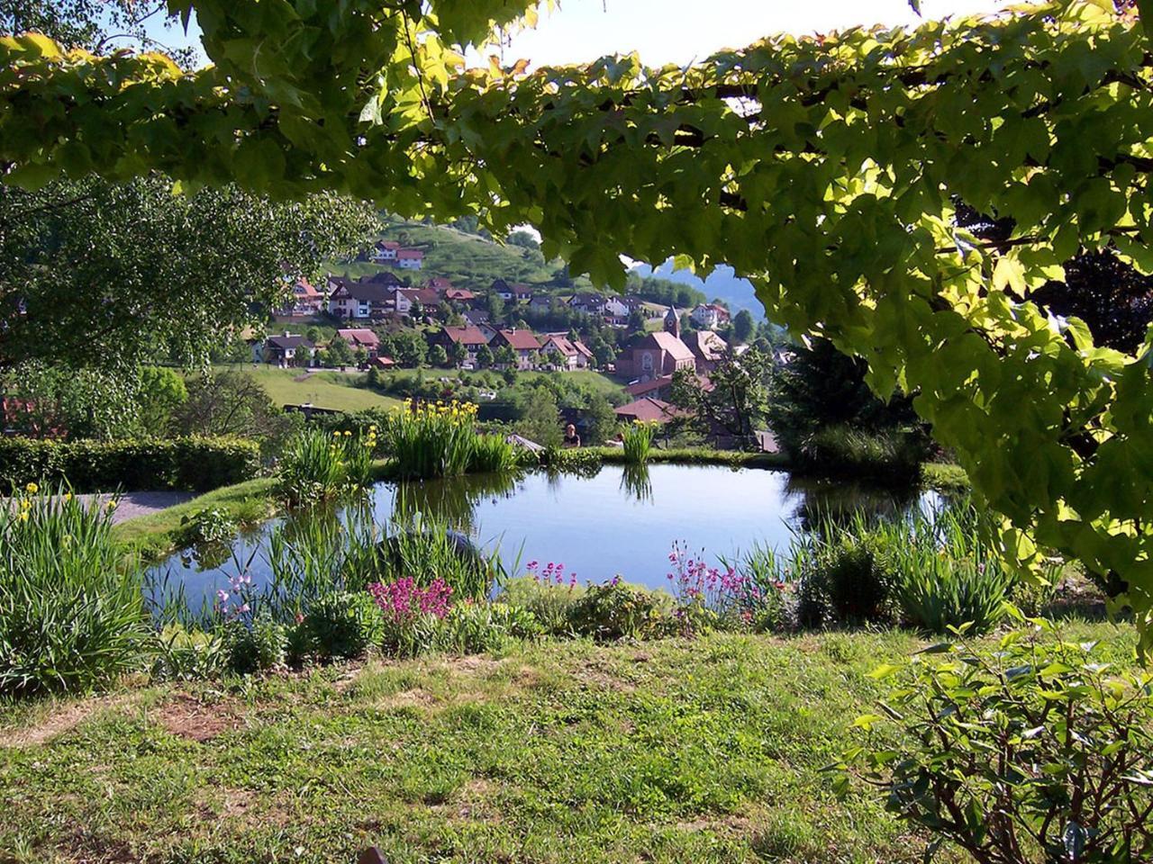 Schnurrenhof Appartement Seebach Buitenkant foto