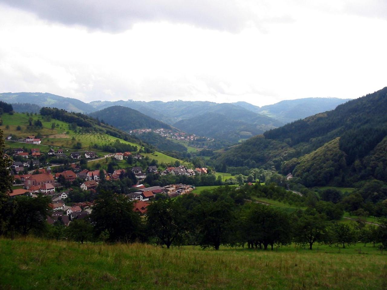 Schnurrenhof Appartement Seebach Buitenkant foto