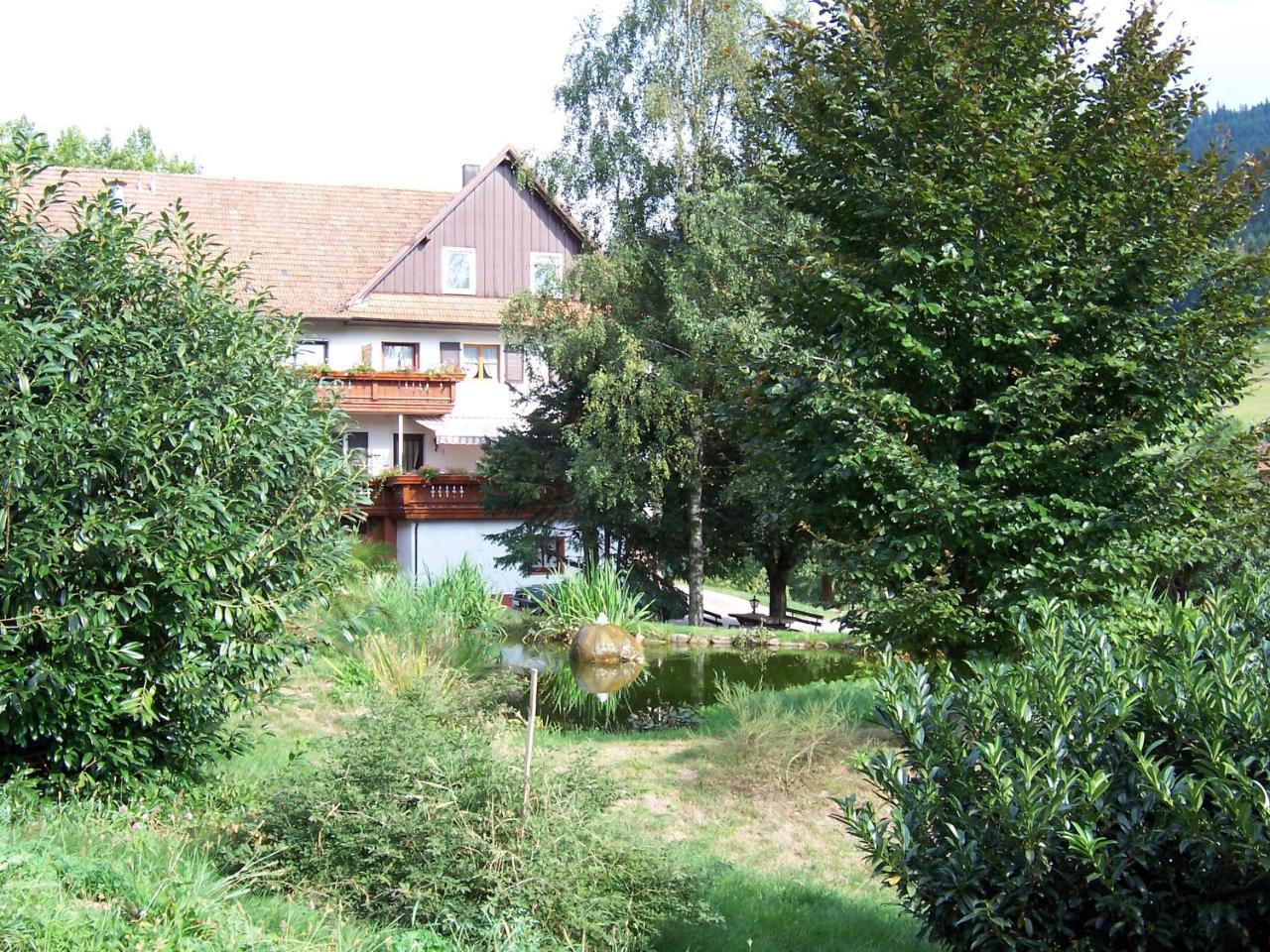 Schnurrenhof Appartement Seebach Buitenkant foto