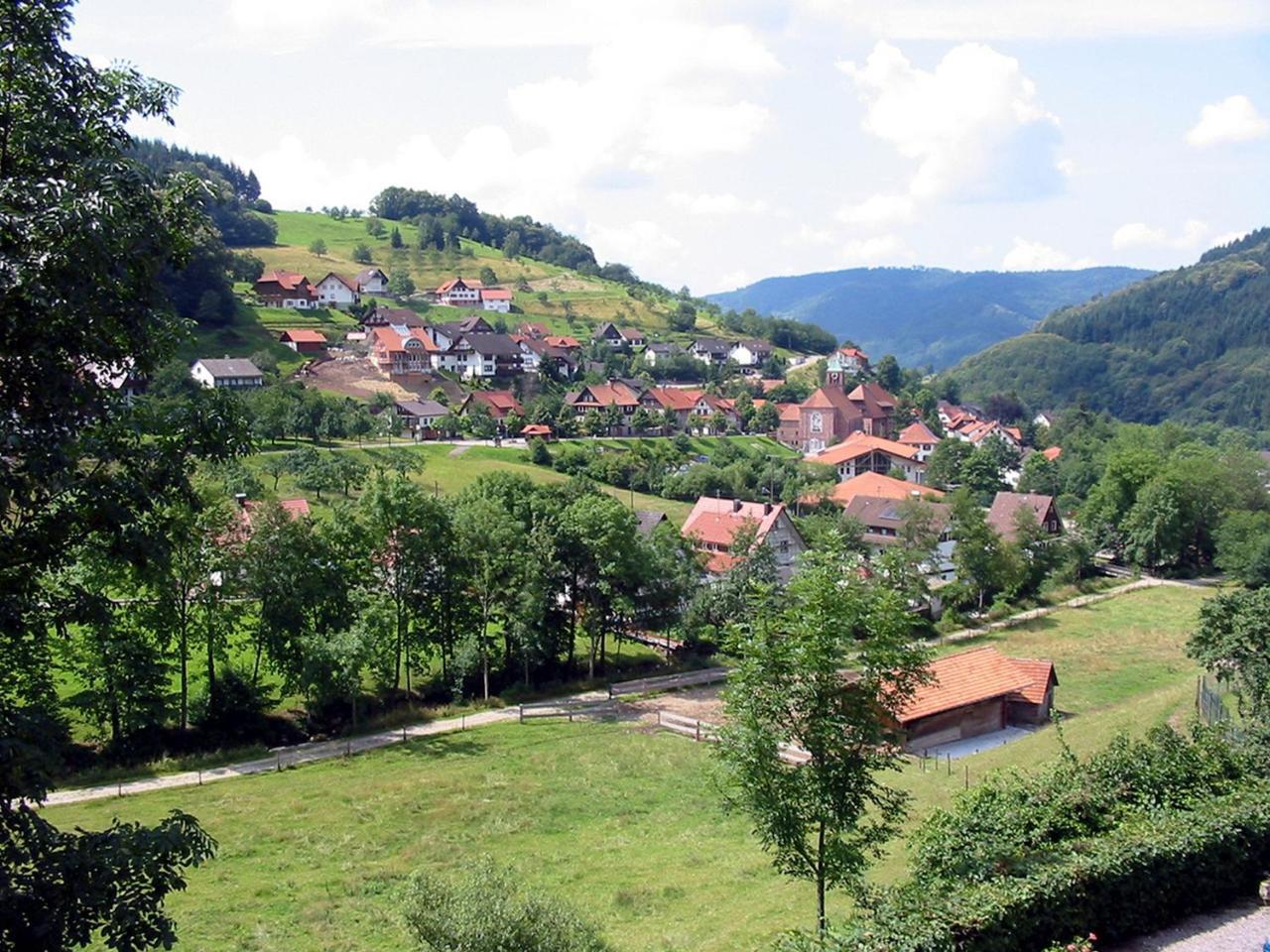 Schnurrenhof Appartement Seebach Buitenkant foto